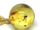 AMBER PENDANT 2 INSECTS Gift Round BALTIC AMBER Bead Silver 925 Gold 2g 17406