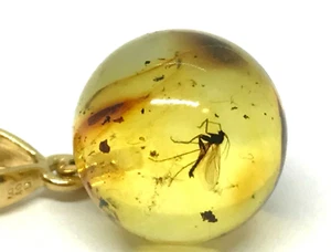AMBER PENDANT 2 INSECTS Gift Round BALTIC AMBER Bead Silver 925 Gold 2g 17406 - Picture 1 of 12