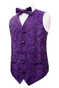 Boys 2PCS Classic Paisley Bow Tie Suit Vest Set Formal Wedding Party Wear - Picture 1 of 7