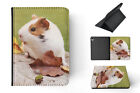 Case Cover For Apple Ipad|cute Guinea Pig Mouse Rodent #14