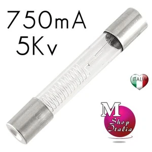 Fusibile microonde 5KV 0.75A 750mA High Quality Fuse Microwave - Imagen 1 de 1