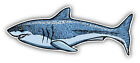 Shark Hand Drawn Car Bumper Sticker Decal 6'' x 3''