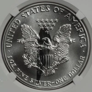 1991 NGC MS69 Huge Struck Thru Eagle Silver Dollar Mint Error Great Eye Appeal - Picture 1 of 4