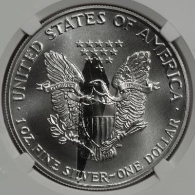 1991 NGC MS69 Huge Struck Thru Eagle Silver Dollar Mint Error Great Eye Appeal - Image 1 of 4