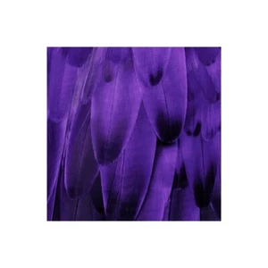 Impresión En Lienzo O Papel Póster O Cuadro Bosque Julia Amigo Plumoso - Púrpura - Imagen 1 de 2