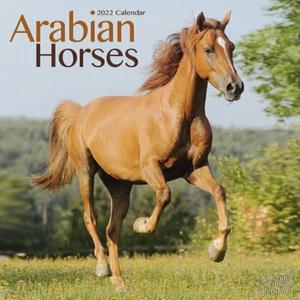 Kalender 2022 - ARABISCHE PFERDE - Bild 1 von 2