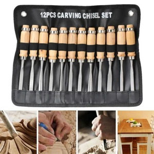 12Pcs Wood Carving Tools Gouges Woodworking Chisels Wood Carving Knifes Set - Picture 1 of 13
