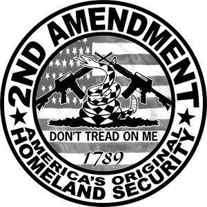 2nd Amendment Gun Sticker, Dont Tread on Me, Decal, Hunting, 4x4 truck, 2A USA - Picture 1 of 2