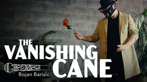 Vanishing Baste (Stage) de Bojan Barisic y Stage Elegance - Imagen 1 de 5