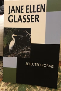 Jane Ellen Glasser: Selected Poems (Paperback or Softback) - Bild 1 von 4