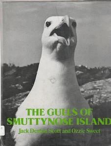 THE GULLS OF SMUTTYNOSE ISLAND (1977) JACK SCOTT & OZZIE SWEET, PHOTOBOOK - Picture 1 of 1