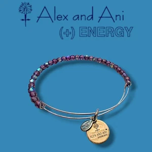 Alex & Ani Eco Energy Serie Amythest lila Perlen silberfarben Bettelarmband - Bild 1 von 3
