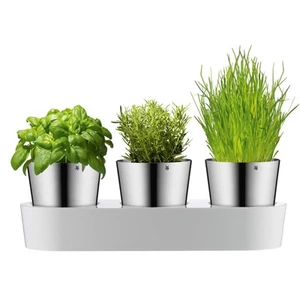 WMF 0641306040 Gourmet Herb Garden Set of 3 3 parts - Foto 1 di 10