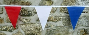 Traditional Triangular Flag Polyester Bunting - Various Colours - Picture 1 of 18