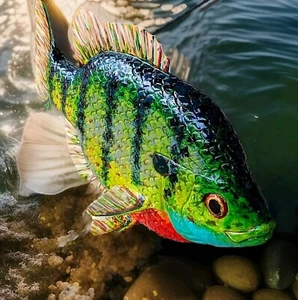 10.5" L. James Mead Decoys Bluegill Sunfish This Is A Keeper - Picture 1 of 9