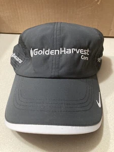 Cappello Nike Golden Harvest Seed Corn Nuovo - Foto 1 di 6