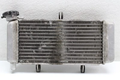 Radiador enfriador rueda CBR Honda CBR250 2011-2013  Foto 1 de 4