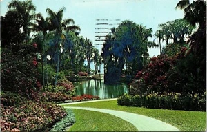 Tropical Vegetation Florida FL Palsm Cypress Banan Trees Postcard PM Vero Beach - Picture 1 of 2