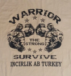 Camiseta de colección Incirlik AB Turkey Warrior levantamiento de pesas levantamiento de pesas militar USAF - Imagen 1 de 5