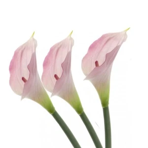 Artificial Real Touch Calla Lily Bundle of 3 Stems 66cm/26 Inches Pink - Picture 1 of 1