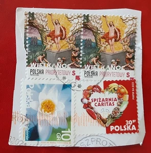 POLONIA 2015 Usado 10gr Flor 2023 30gr Caritas S Pascua Par en Pieza XF 2848-2 - Imagen 1 de 1