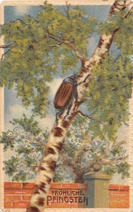 J62/ Insect Bug Pest Fantasy Postcard c1910 Beetle Good Luck 171 - Picture 1 of 4