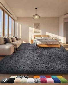 Area Rugs for Bedroom Living Room, Grey Fluffy Fuzzy Shag Shaggy Soft Plush Carp - Picture 1 of 5