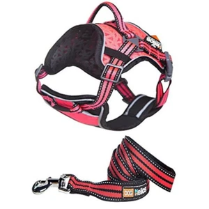 Dog Helios Dog Chest Compression Pet Harness and Leash Combo Pink - Medium dog - Picture 1 of 10