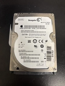 Seagate Momentus 5400.6 250GB LAPTOP PC Apple Hard Drive ST9250315ASG Free Ship - Picture 1 of 3