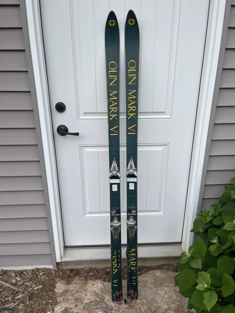 スキー Olin whisker metacarbo サロモン 175-180 Olin スキー whisker