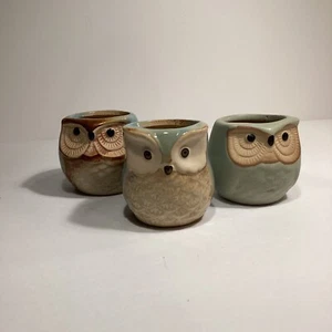 Owl Planters 3 Small Ceramic Owls For Mini Plants Succulents Bonsai - Picture 1 of 6