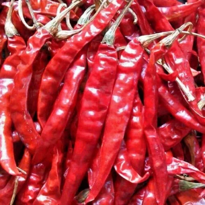 HOMEMADE 1000g whole dried premium quality RED CHILI pepper pods 100% organic