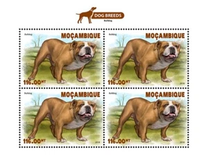 Dogs Bulldog MNH Stamps 2018 Mozambique M/S - Picture 1 of 1
