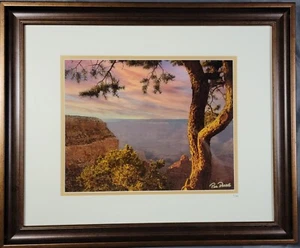 Grand Canyon's Majestic South Rim fotografiert bei Sonnenuntergang mit Kiefer 23"x19" - Bild 1 von 1
