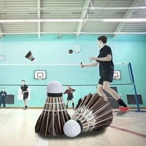 6/12Pcs Badminton Ball Training Durable Shuttlecock Duck Feather Professional - Picture 1 of 17