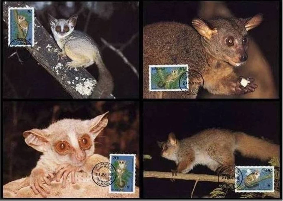 Tanzania 1989  ☀ W.W.F. - Fauna Monkeys ☀ 4x Max cards - Image 1 of 1
