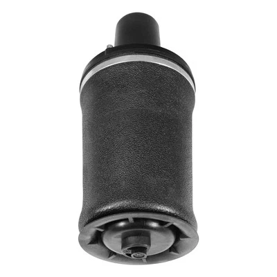 Muelle de suspensión neumática para Land Rover Range Rover 1995-2002 Foto 1 de 2