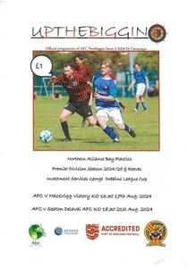 24/25 NEWBIGGIN V HAZELRIGG V./SEATON DELAVAL (NORTHERN ALLIANCE)(LAST) - Picture 1 of 1