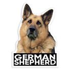 Autocollant cadeau : berger allemand animal de compagnie K-9 animal chiot canin animaux de compagnie