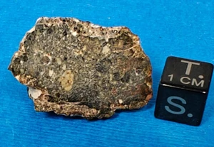 7.84 GR. END-CUT SLICE NWA 11516 ACHONDRITE STONY METEORITE, HED GROUP - Picture 1 of 2