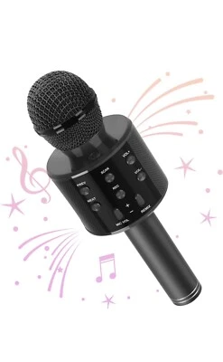 Handheld KTVKaraoke Mic - Image 1 of 2