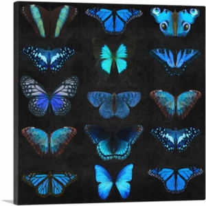 ARTCANVAS Navy Baby Blue Butterfly Wings Insect Black Canvas Art Print - Bild 1 von 10