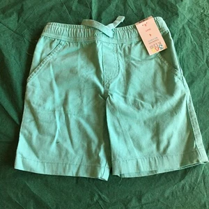 365 Kids From Geranimals Boys Size 4 Woven Pork Chop Pastel Teal Shorts - Picture 1 of 5
