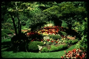 Lotto 120 Scivoli 35mm Giardini Fiori Parchi Naturali Fontane Serene Paesaggi - Foto 1 di 12