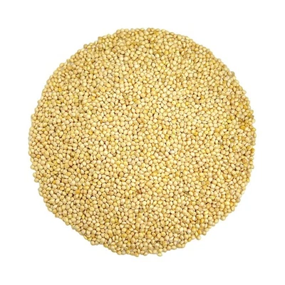 White Proso Millet Seeds for Birds - 5 lbs Unhulled, Bulk Wild Bird... Fast Ship - Image 1 of 4