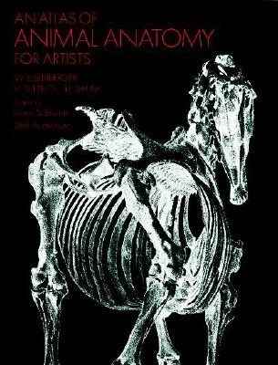 An Atlas of Animal Anatomy for Artists (Dover Anatomy for Artists) by W. Ellenb - Image 1 of 1
