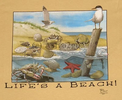 LIFE'S A BEACH!--Camiseta Ocean Seashore Sand Cangrejos Conchas Ciencia Naturaleza Niños Foto 1 de 2