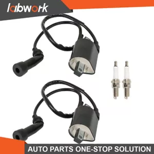 Labwork 2 x Ignition Coil & Spark Plug For Suzuki Intruder VS1400 VL1500 1987-09 - Bild 1 von 21