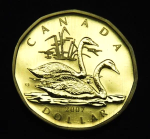 Moneda espécimen cisne trompetista 2007 de la serie conjunto de muestras - perfecta - Imagen 1 de 2