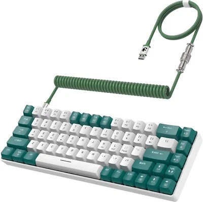 ZIYOU LANG T8 Mechanical Keyboard and Coiled USB C Cable with RGB LED Backlit - Image 1 of 4